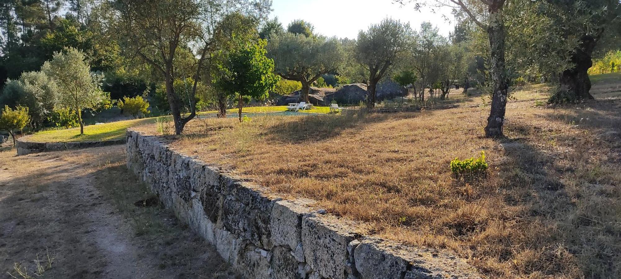 Gasthaus Quinta Da Pedra Mija Santar Exterior foto