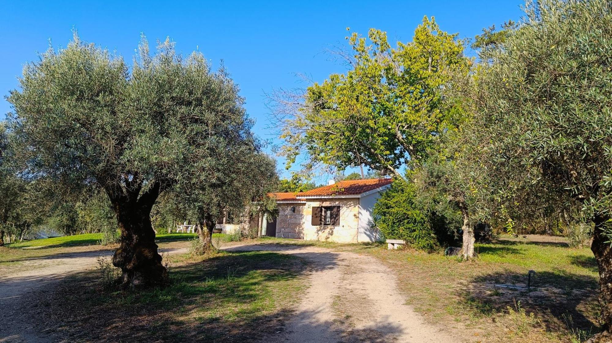 Gasthaus Quinta Da Pedra Mija Santar Exterior foto