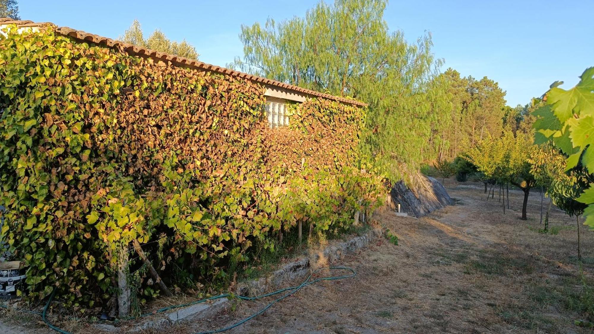 Gasthaus Quinta Da Pedra Mija Santar Exterior foto