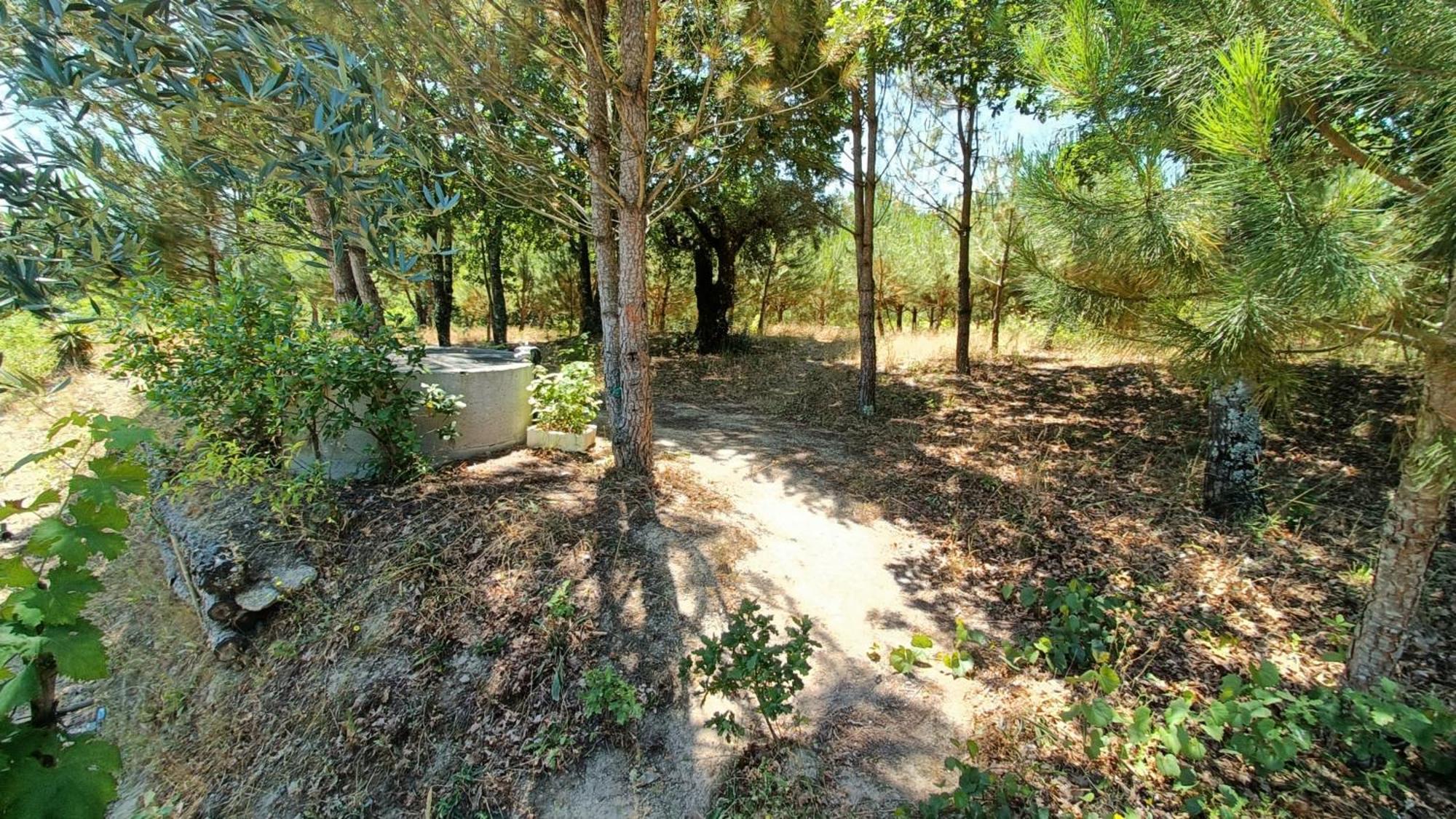 Gasthaus Quinta Da Pedra Mija Santar Exterior foto