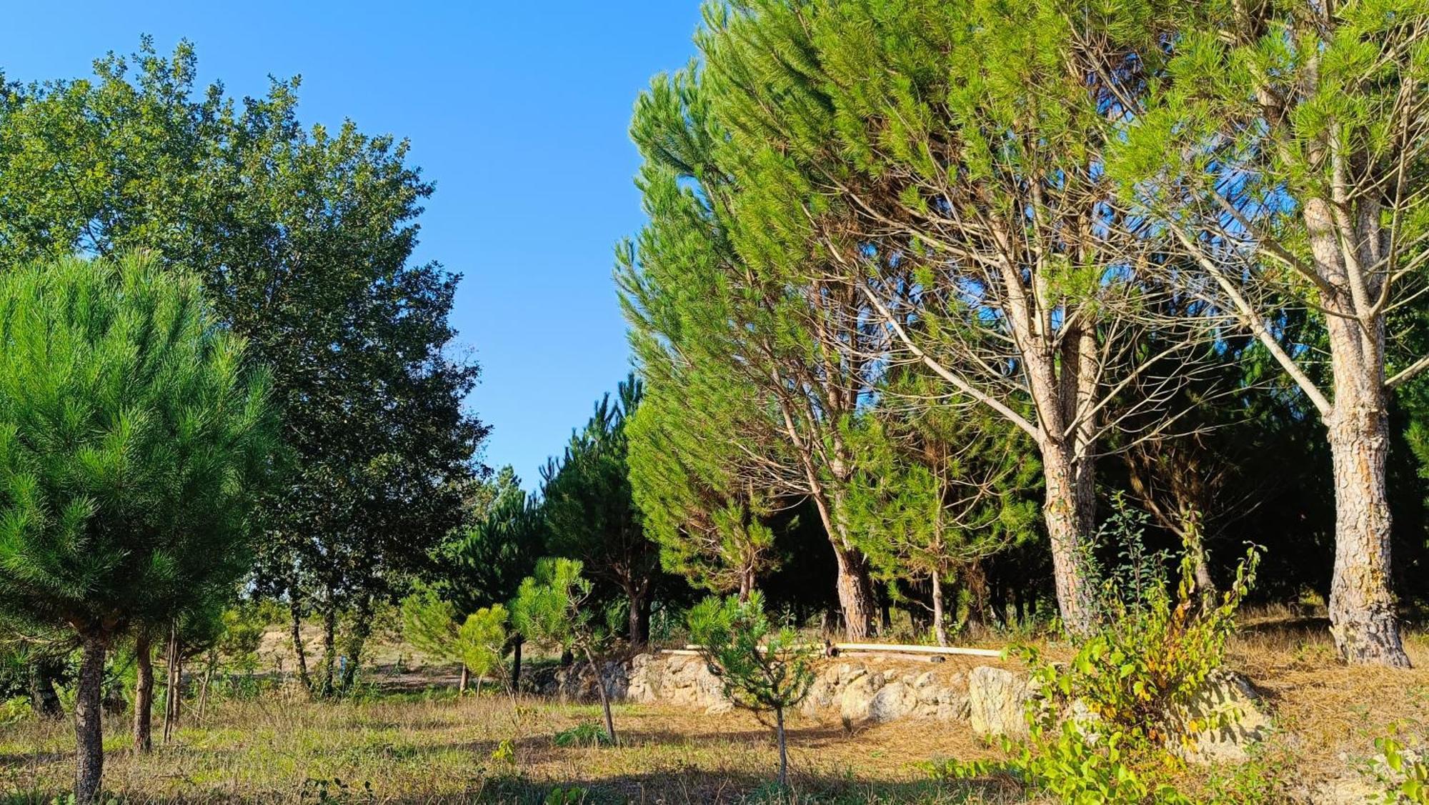 Gasthaus Quinta Da Pedra Mija Santar Exterior foto
