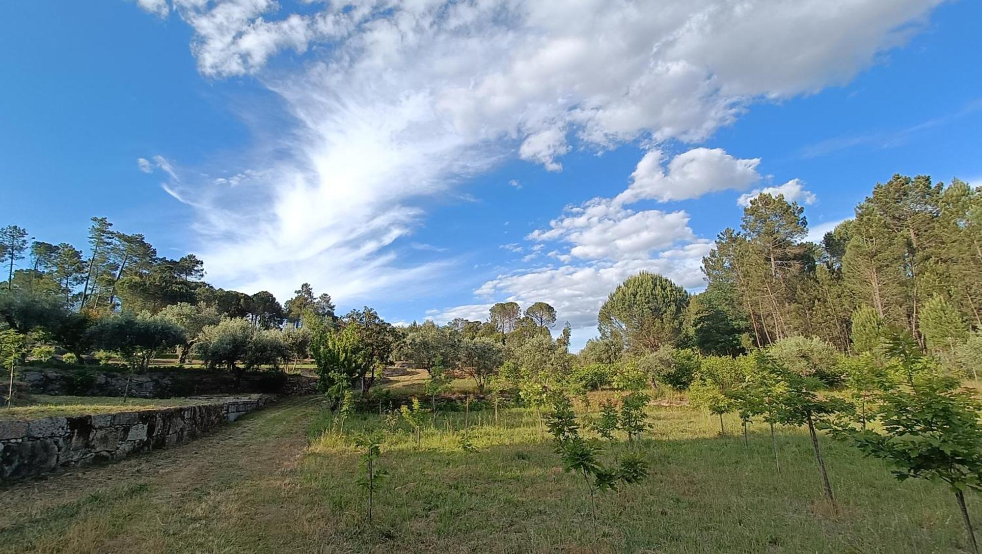 Gasthaus Quinta Da Pedra Mija Santar Exterior foto